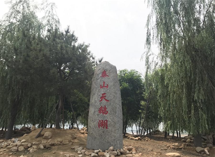 天鵝湖風(fēng)景區(qū)（泰山）速覽！(圖12)